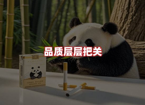 专业团队